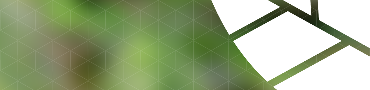Open Source Visual